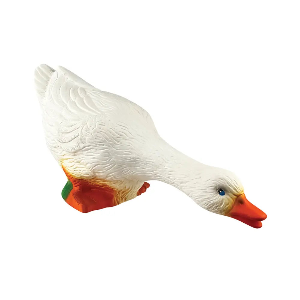 LAMP CHASING DUCK
