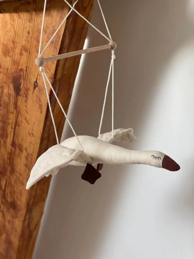 Room Decoration