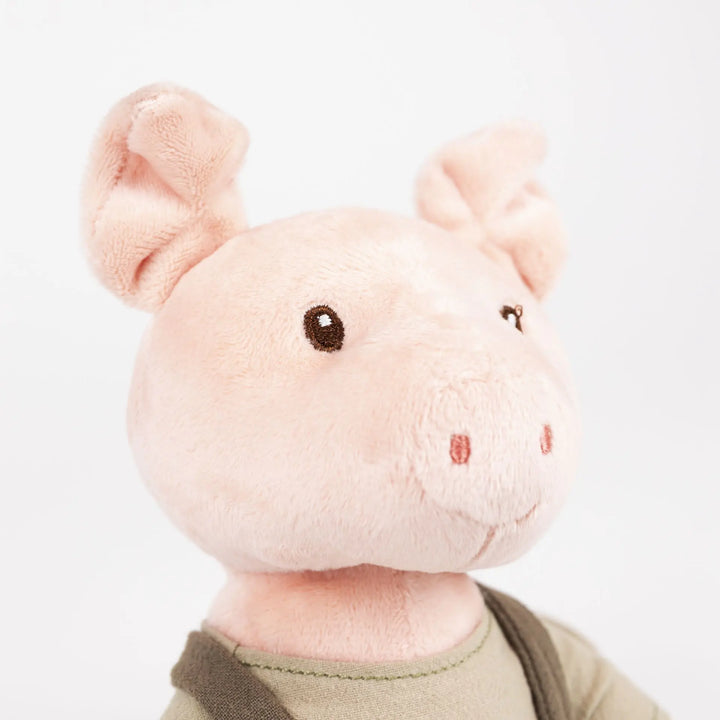 BART PIG