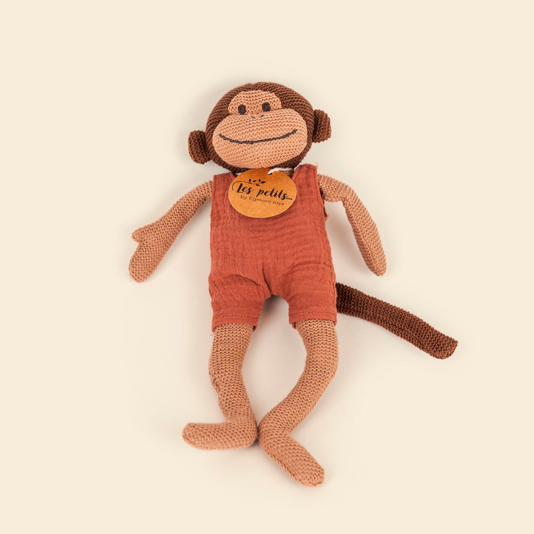 Paulo the knitted monkey