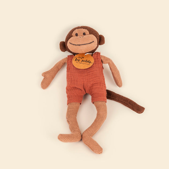 Paulo the knitted monkey