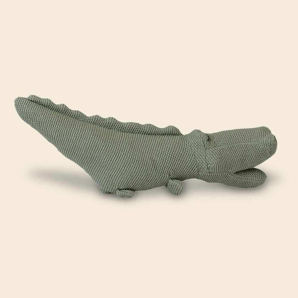 Croc le crocodile