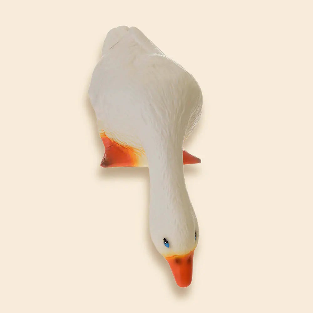 LAMP DUCK LOOKING DOWN