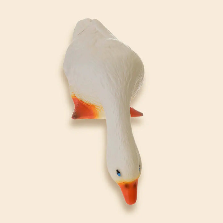 LAMP DUCK LOOKING DOWN