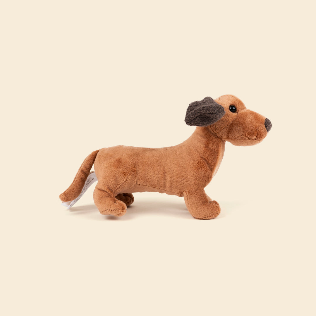 Edward the Dachshund