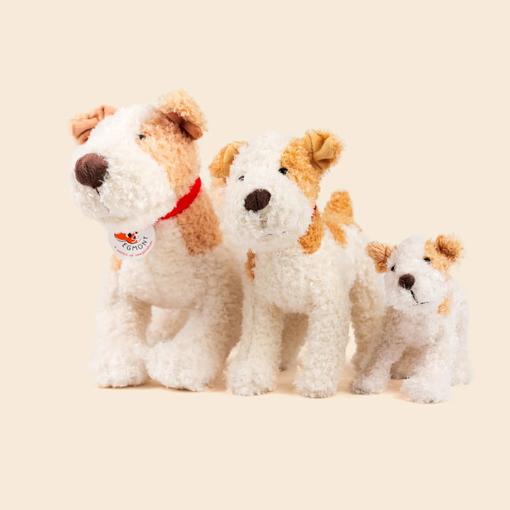 Eliot le Jack Russell (moyen)