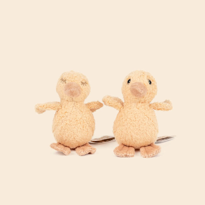 Quack les canetons