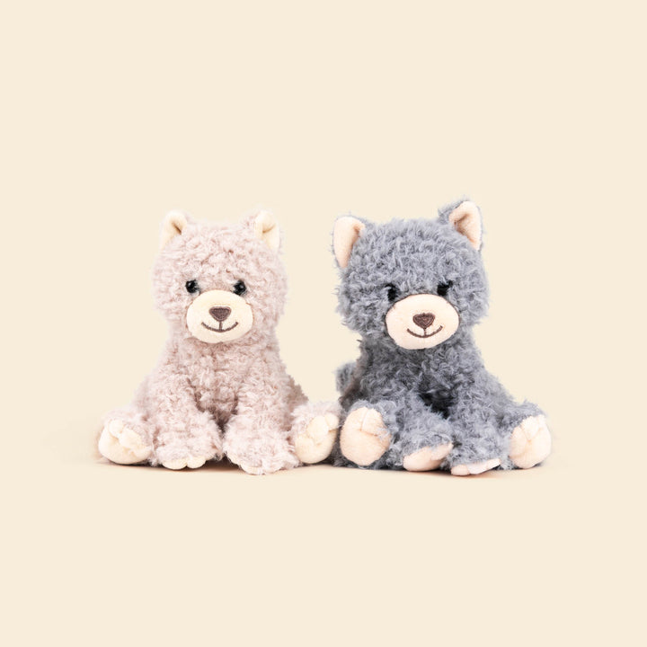 Duo Romy les chatons (petit)