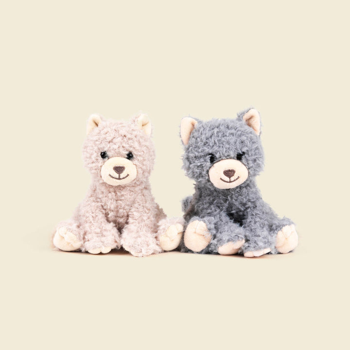 Duo Romy the Kittens (small)