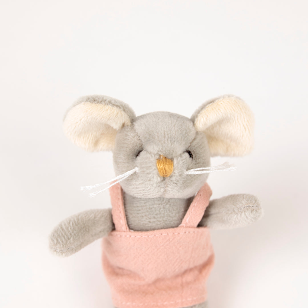 Agathe la souris miniature
