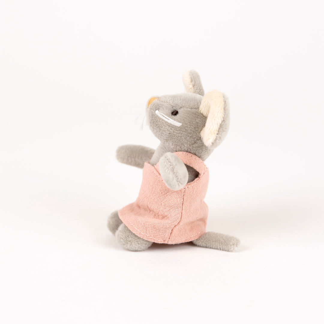 Agathe la souris miniature