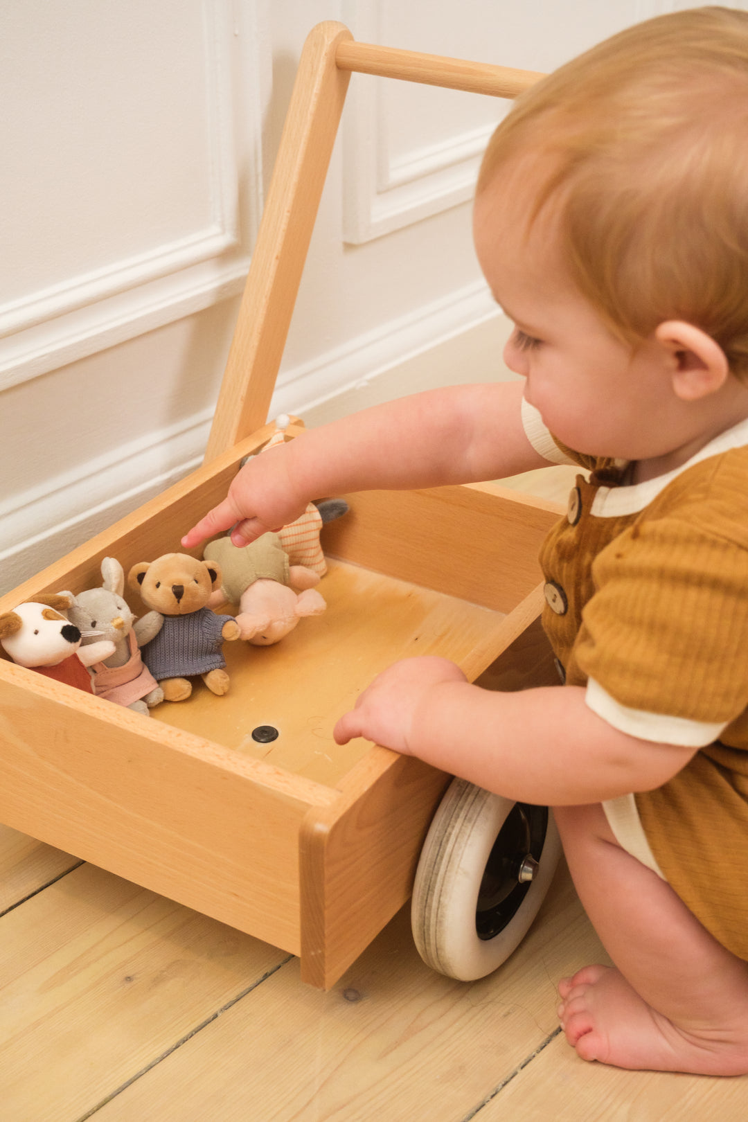 Agathe la souris miniature