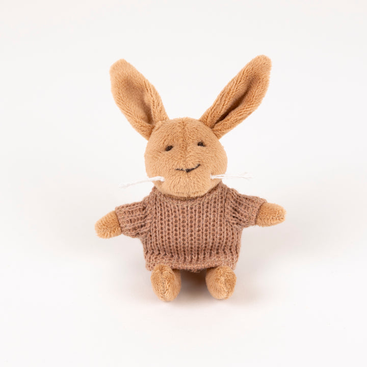 Lenny le lapin miniature