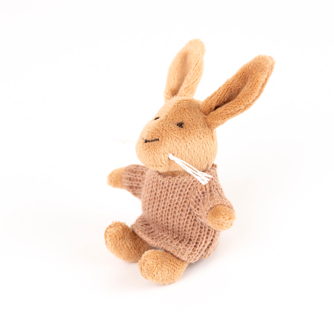 Lenny le lapin miniature
