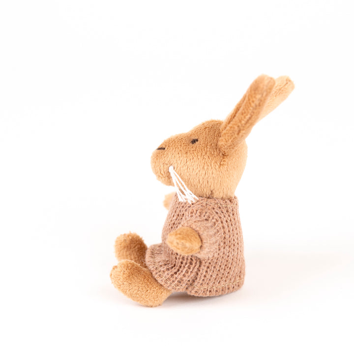 Lenny le lapin miniature