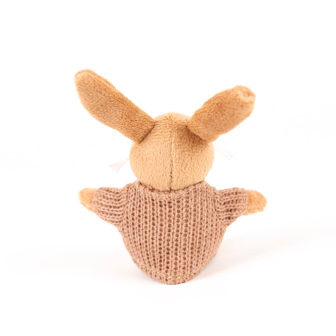 Lenny le lapin miniature