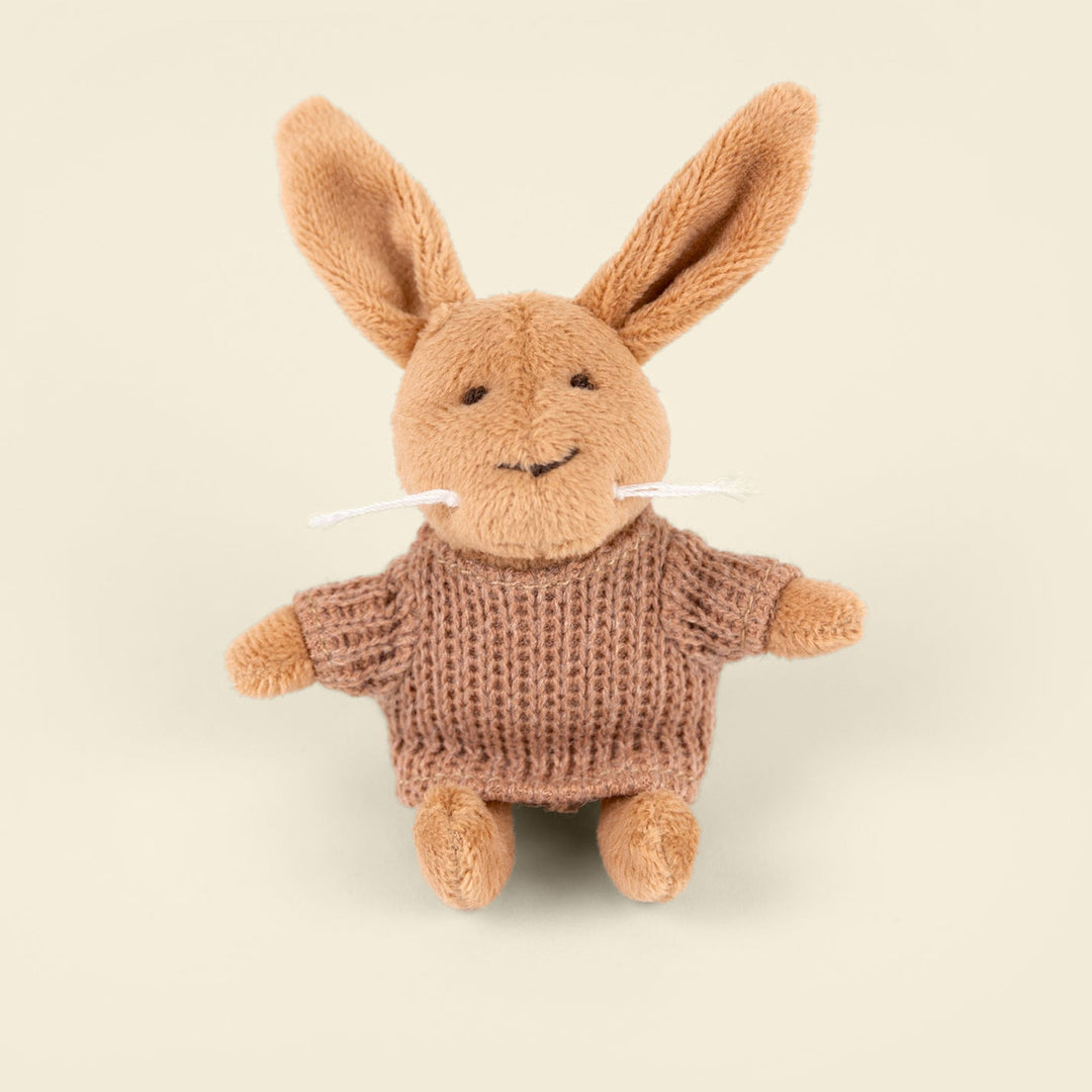 Lenny le lapin miniature