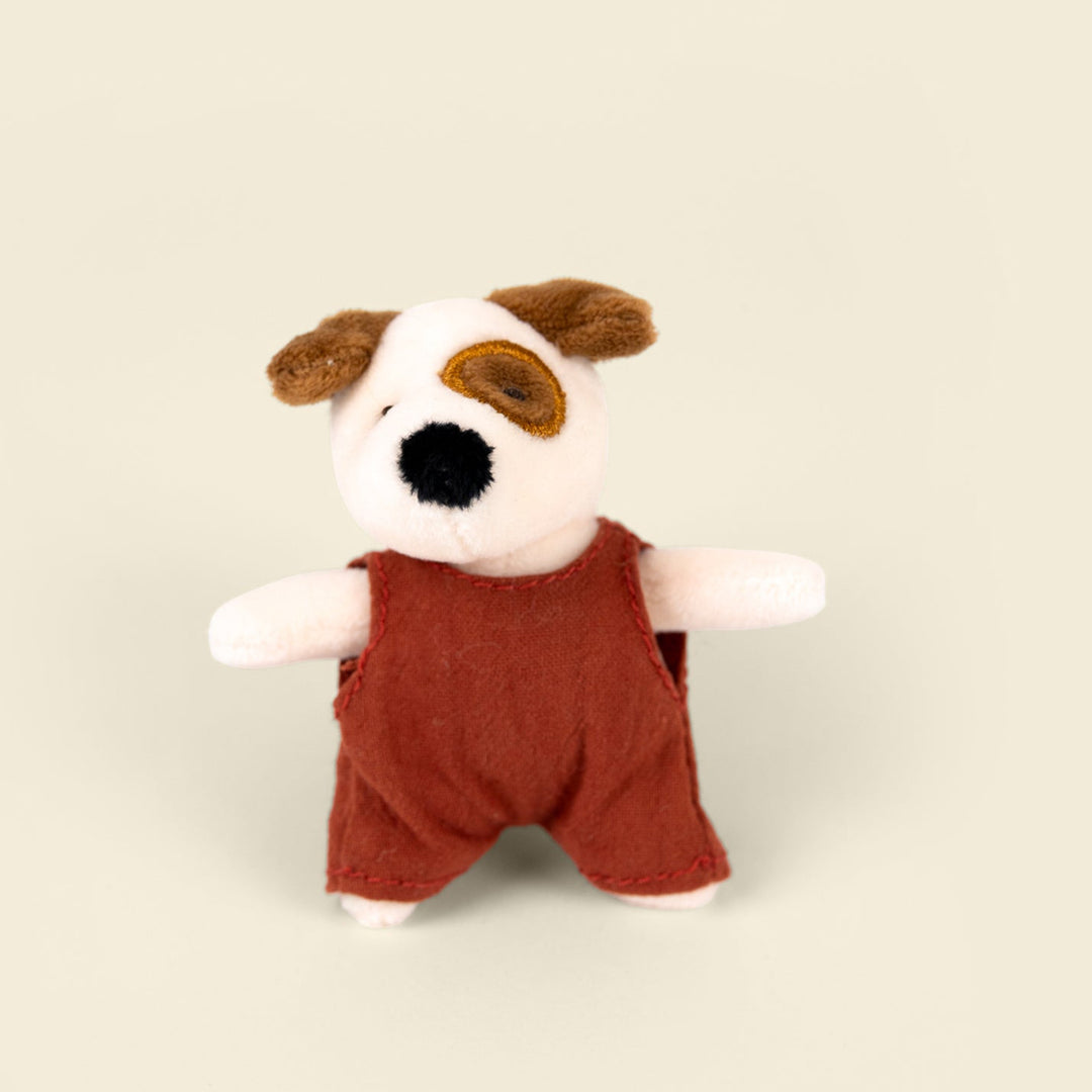 Eddie le chien miniature