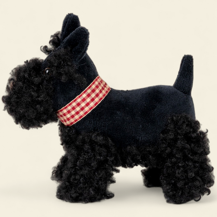 Walter le scottish (petit)