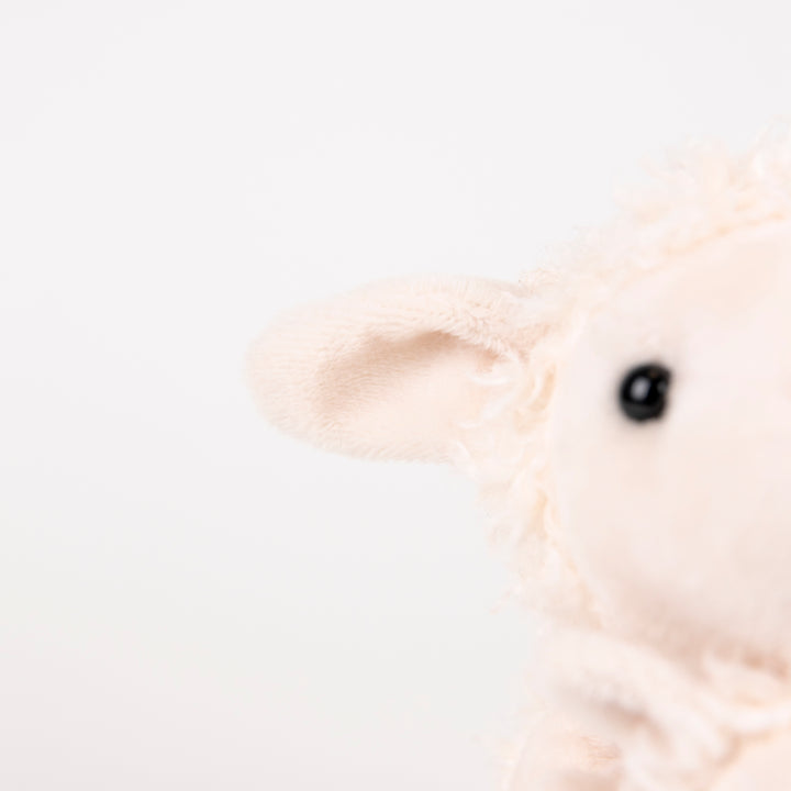 Lamb with baby