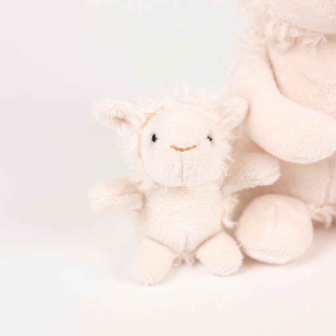 Lamb with baby