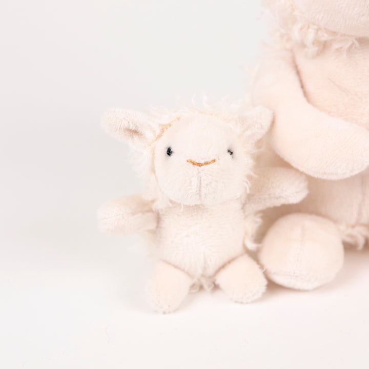 Lamb with baby