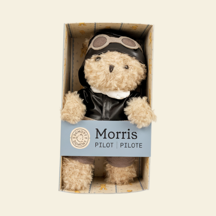 Coffret cadeau ourson aviateur