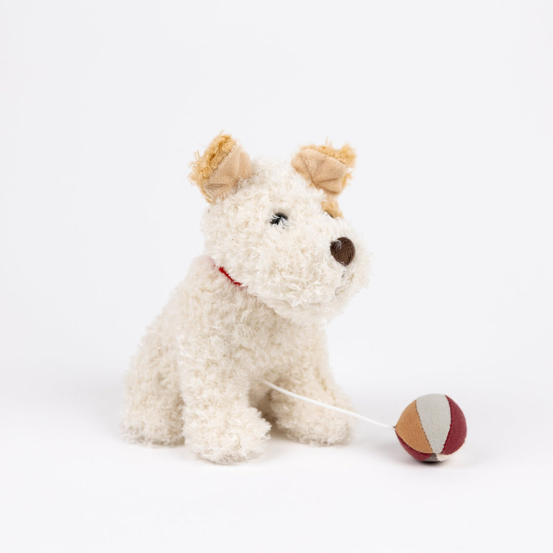 Eliot the musical dog