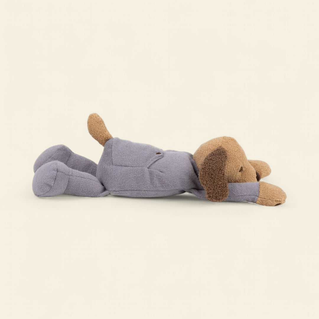 Weighted dog in pyjamas