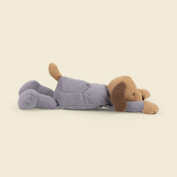 Weighted dog in pyjamas