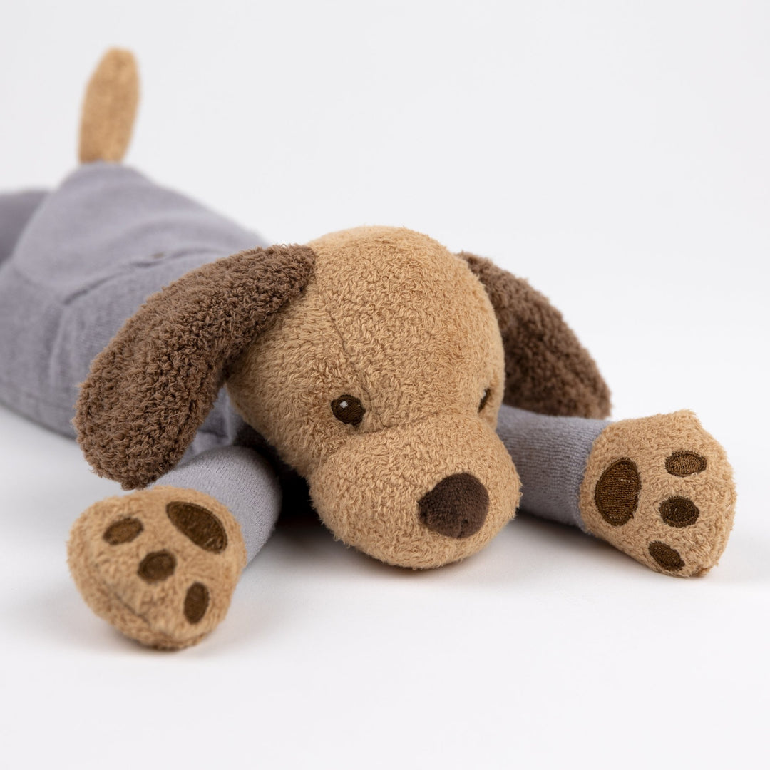 Weighted dog in pyjamas