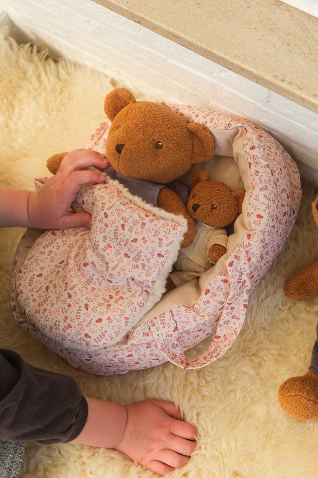 Gabin the baby bear