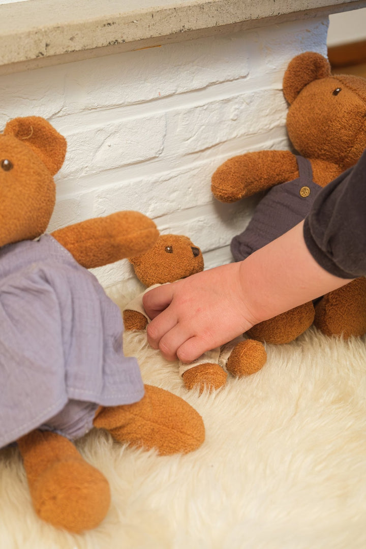 Gabin the baby bear