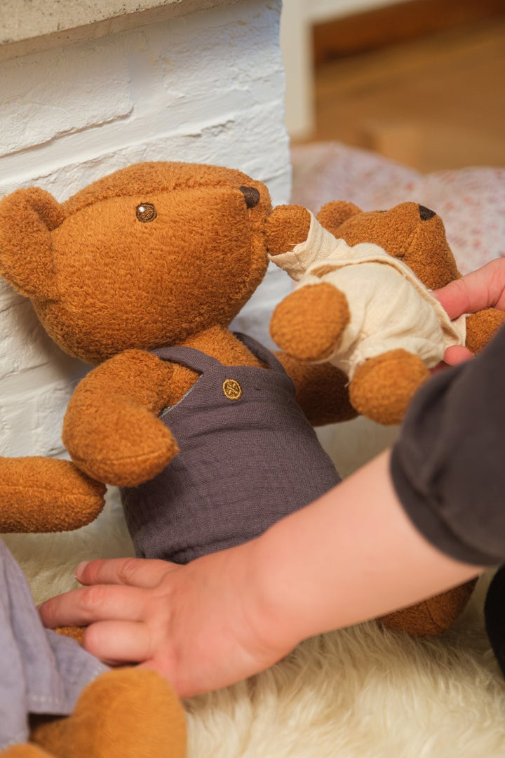 Gabin the baby bear