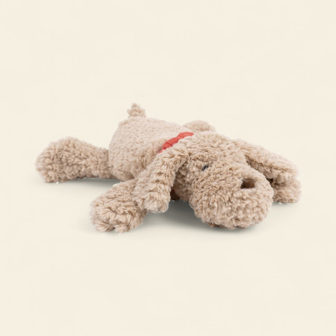 Gabi the lying dog (medium)