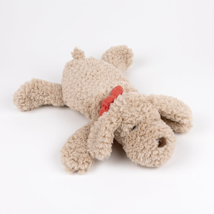 Gabi the lying dog (medium)