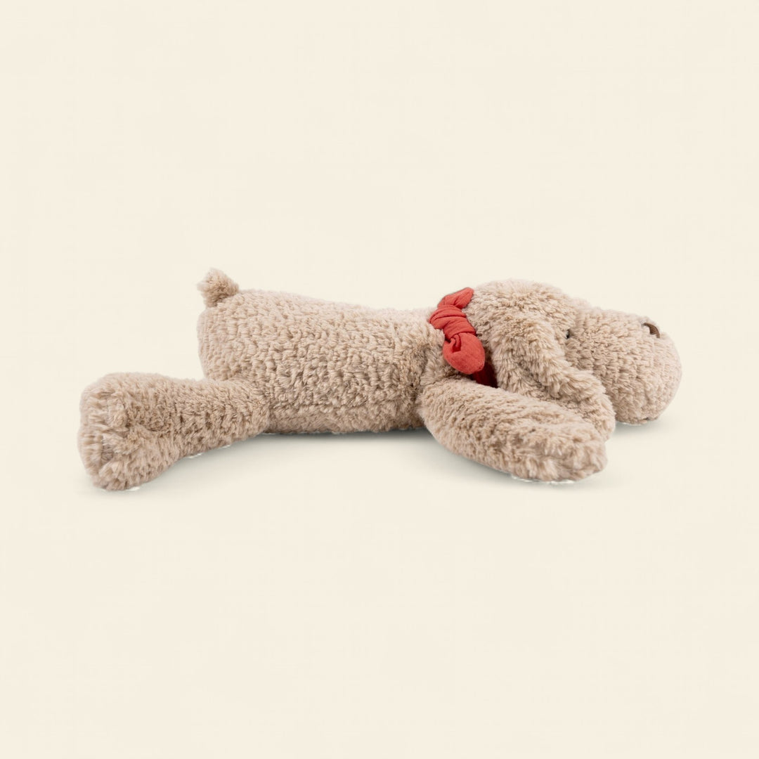 Gabi the lying dog (large)
