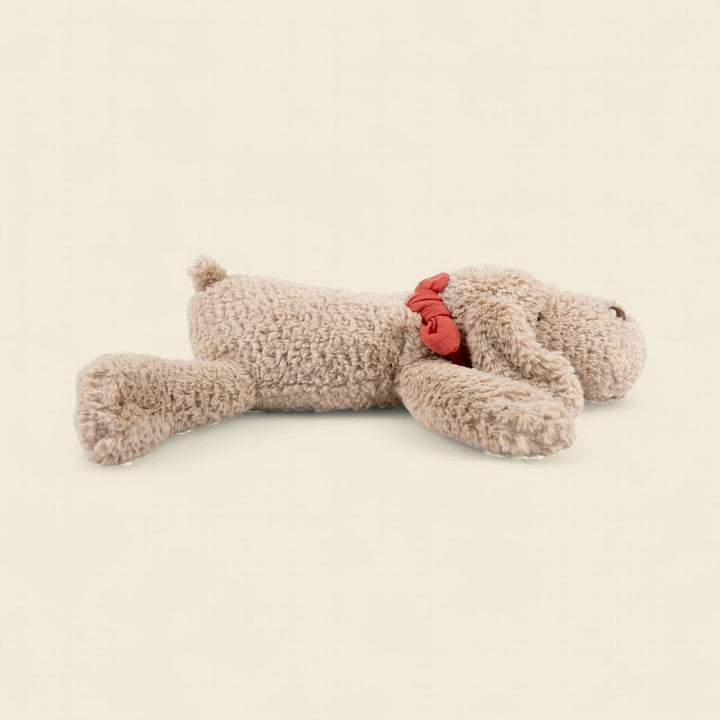 Gabi the lying dog (large)