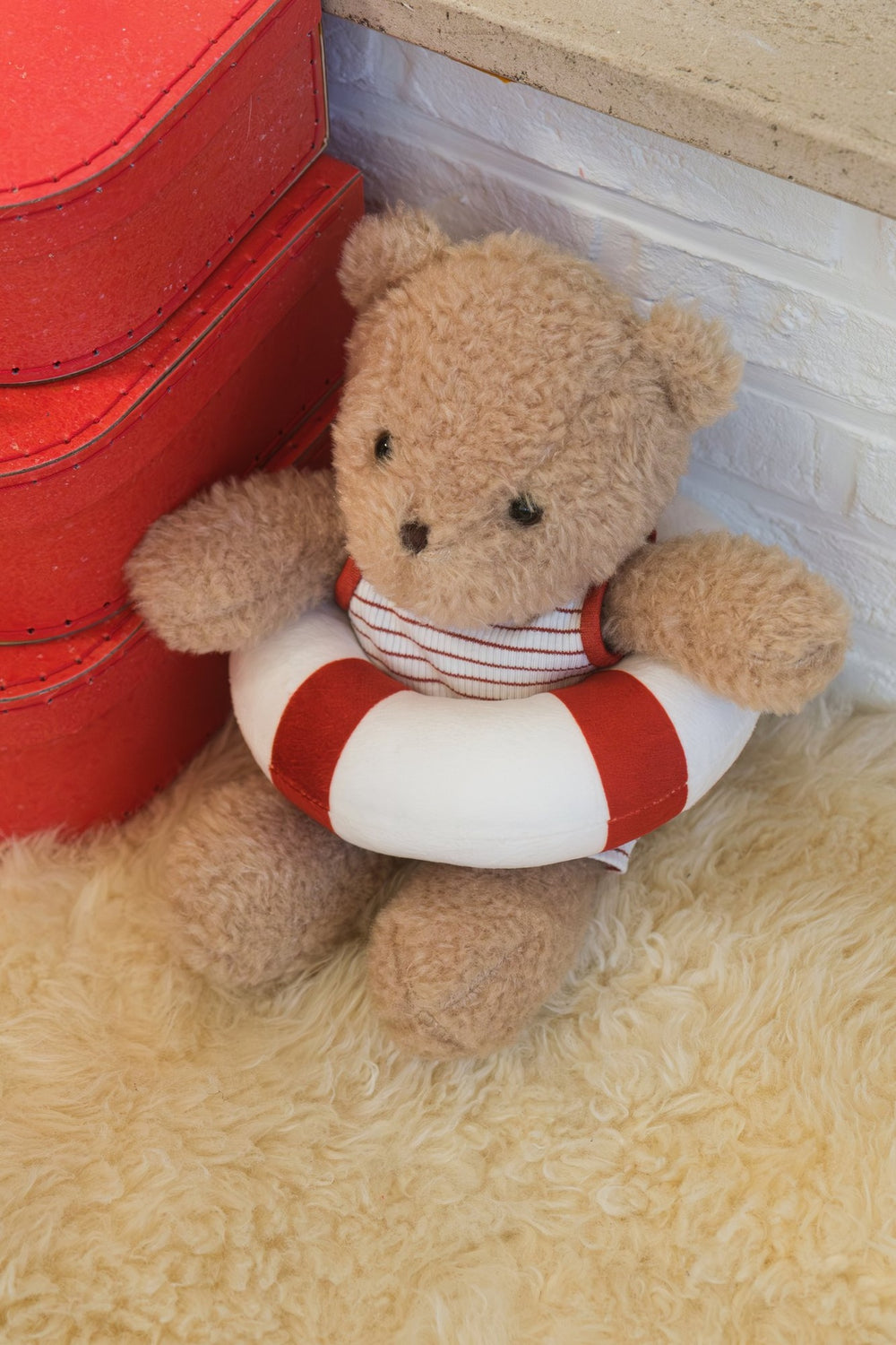 Swimmer bear, gift box