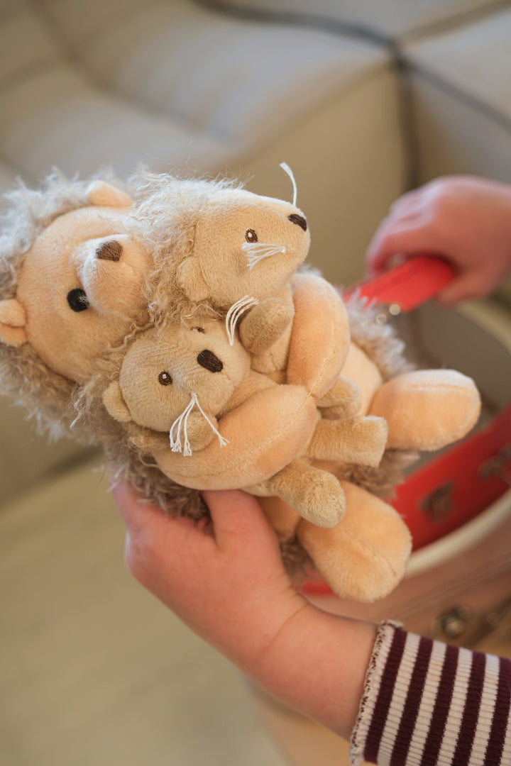 Hedgehog with twins