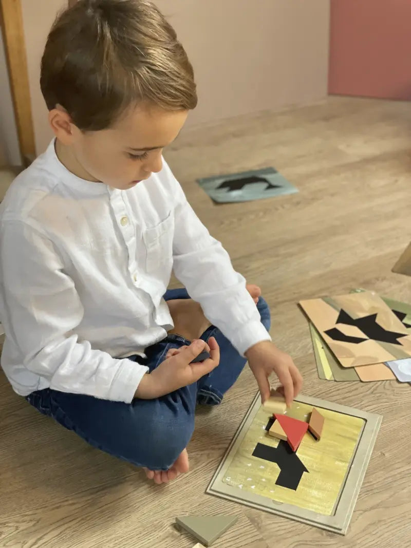 MAGNETIC TANGRAM