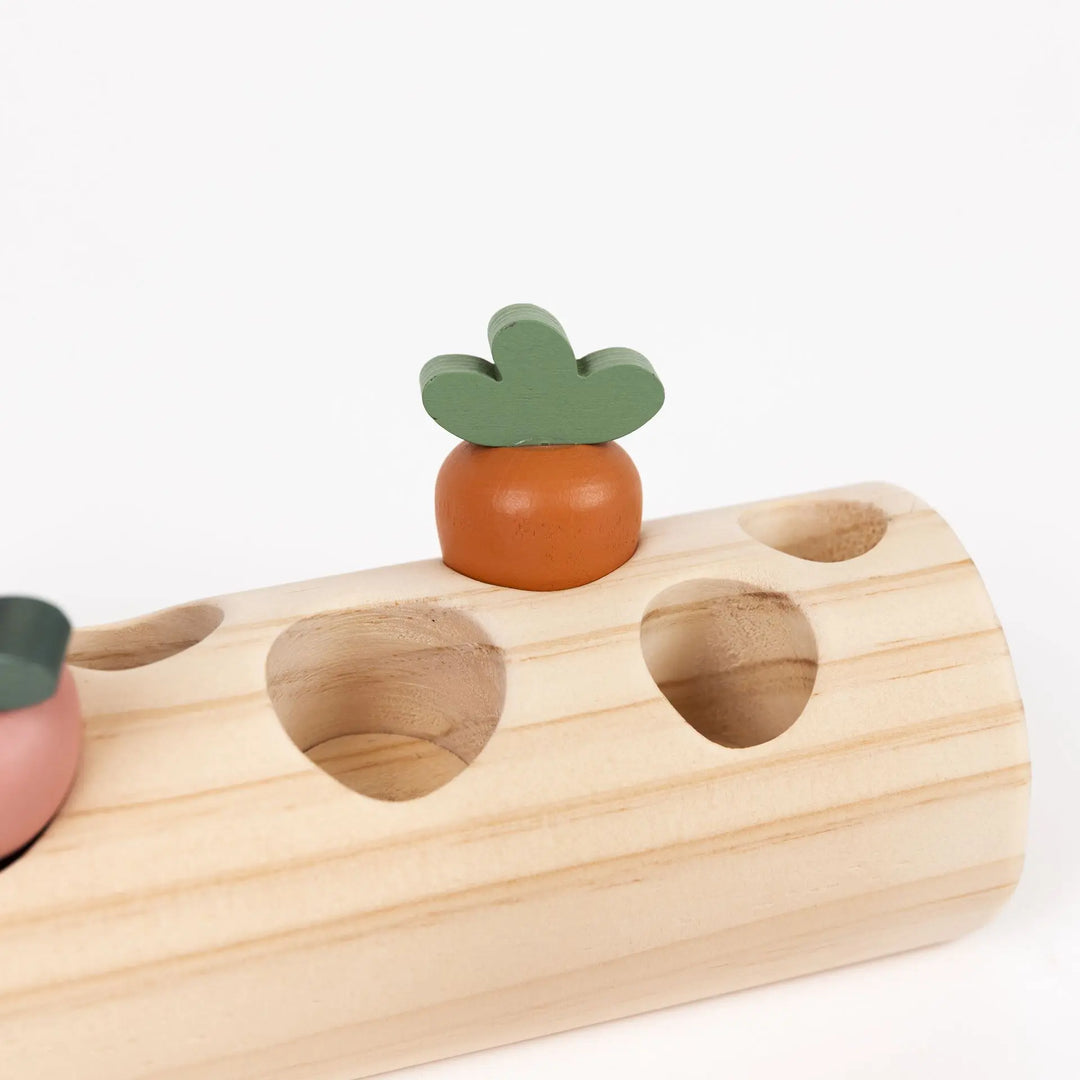RABBIT AND VEGETABLES LOG