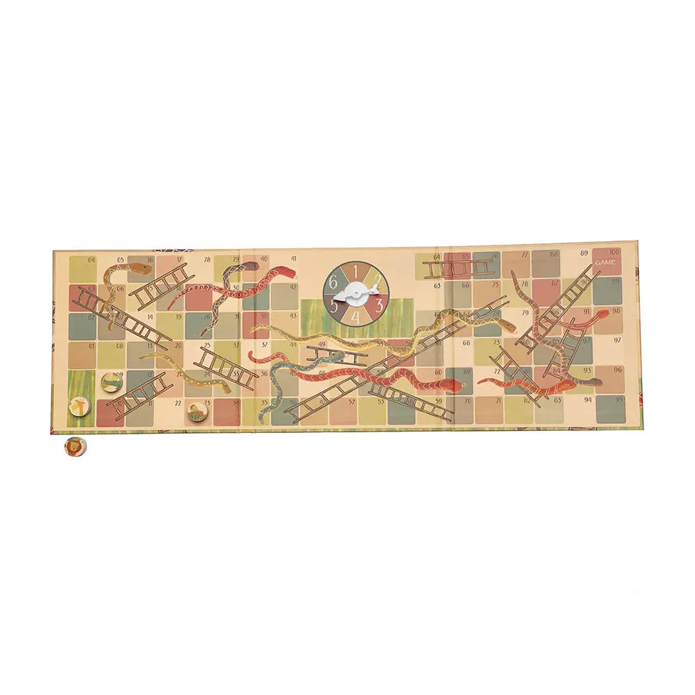 MAGNETIC SNAKES AND LADDER