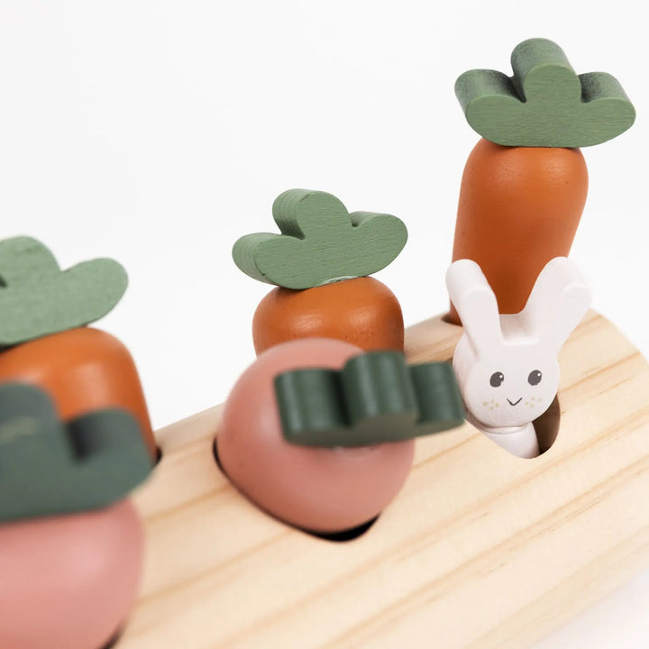RABBIT AND VEGETABLES LOG