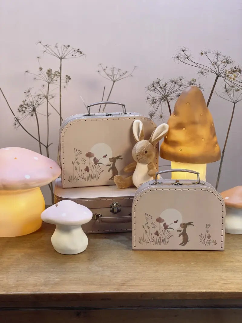 CASES SET OF 3 RABBIT