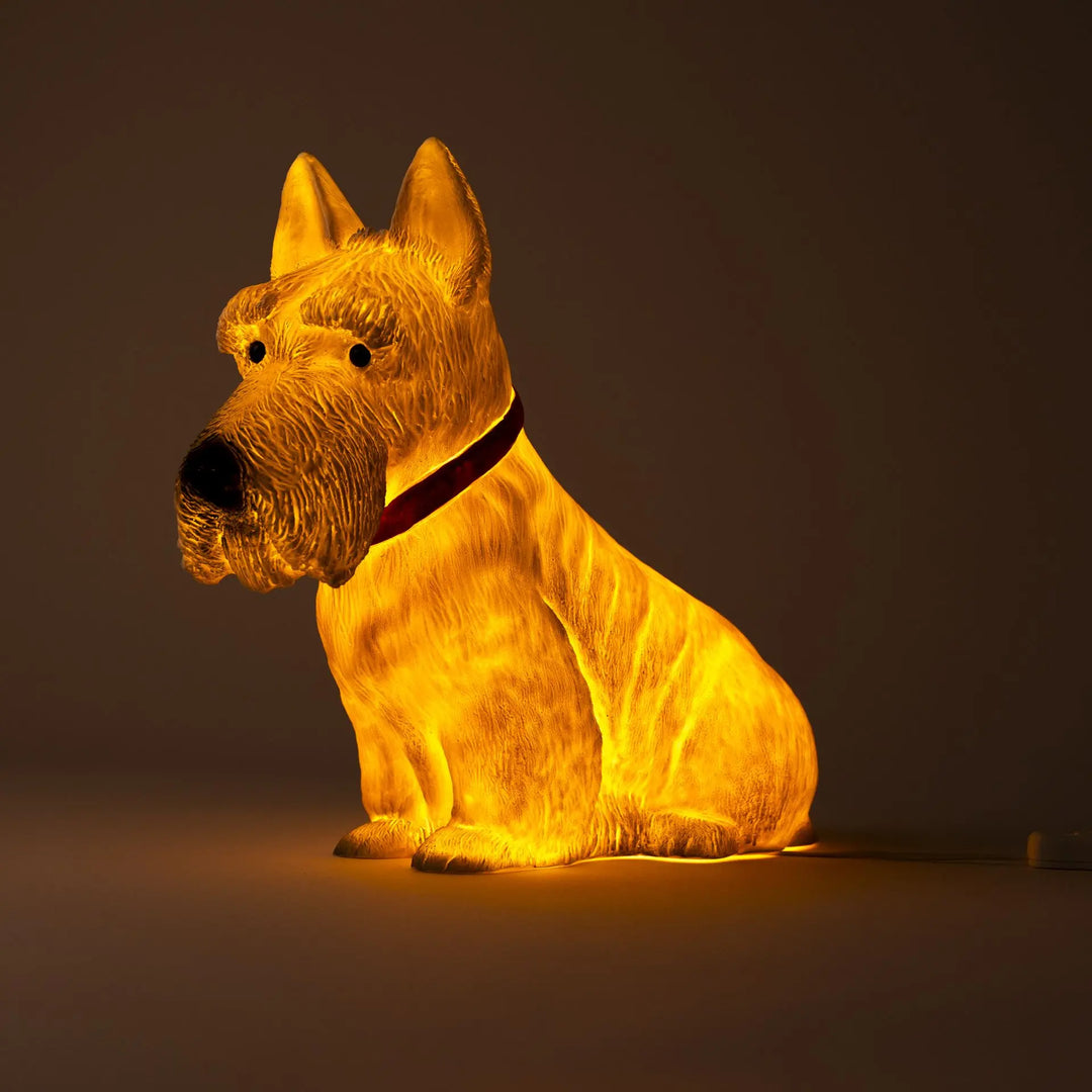 LAMP SCOTTY