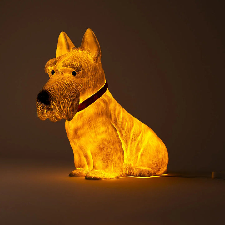 LAMP SCOTTY