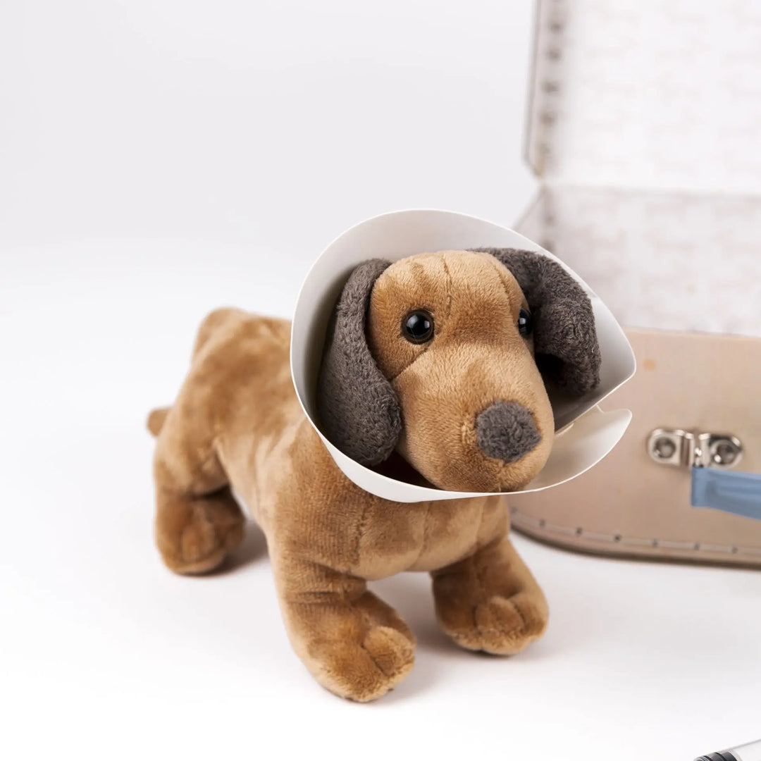 VETERINARY CASE 2
