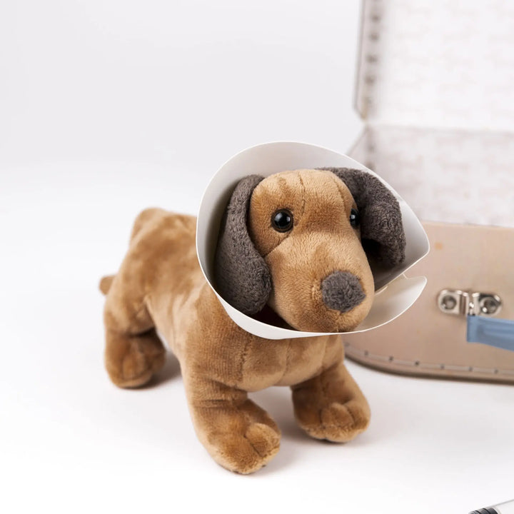 VETERINARY CASE 2