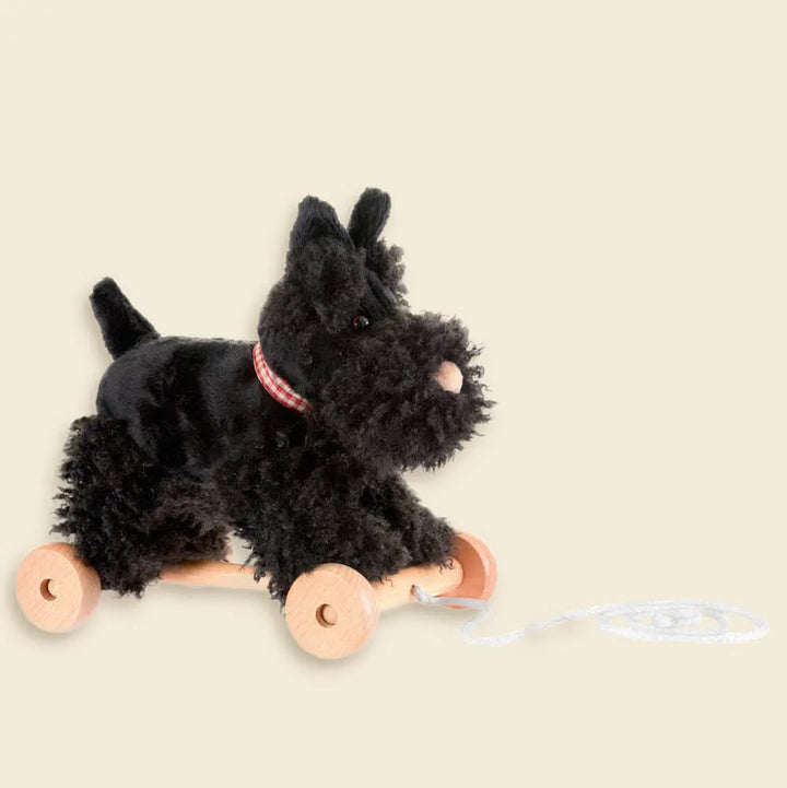 PULL-ALONG WALTER